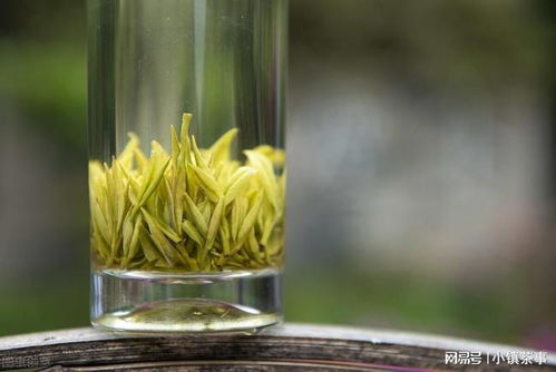 安吉白茶 是白茶还是绿茶 是清爽还是寡淡
