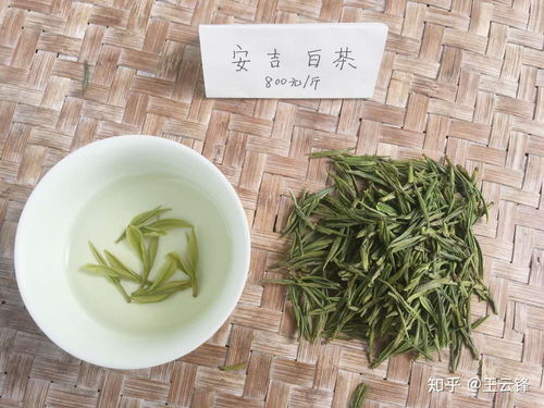 安吉白茶怎么样 如何买到正宗的