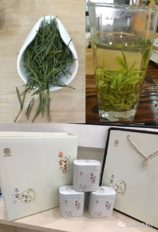 茶中 白富美 安吉白茶