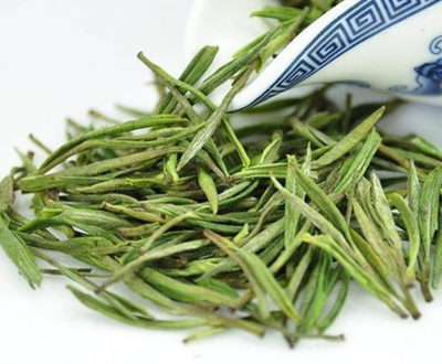 安吉白茶表面是“白茶”,实则是绿茶,原因何在?