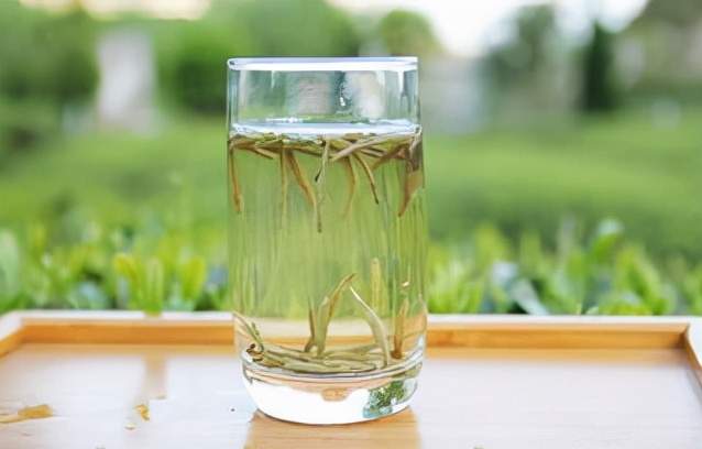安吉白茶属于绿茶,福鼎白茶属于什么茶