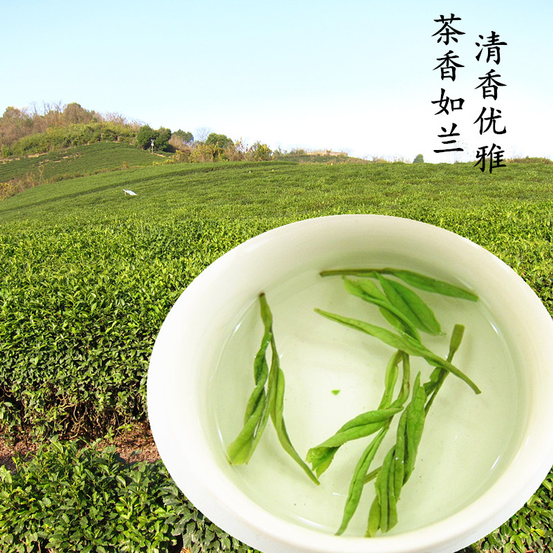 2022年 新茶 安吉白茶叶 500克茶农直销散装高山雨前珍惜绿茶春茶