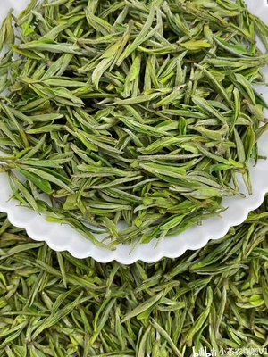 安吉白茶的功效