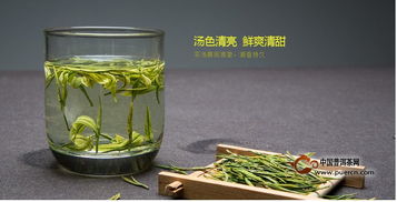 安吉白茶到底好在哪里