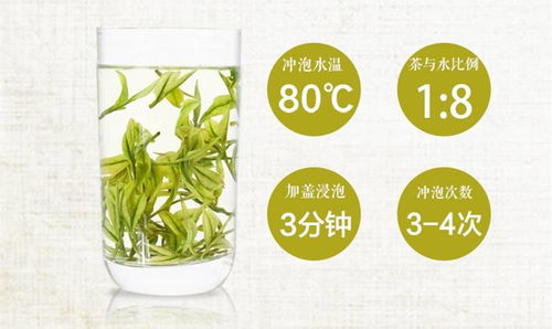2019年新茶安吉珍稀白茶 送杯子雨前绿茶安吉特产白茶叶100g 500g