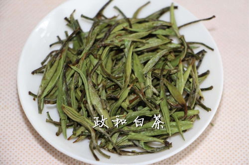 看懂安吉白茶 福鼎白茶 政和白茶 月光白的区别,这一篇文章就够了