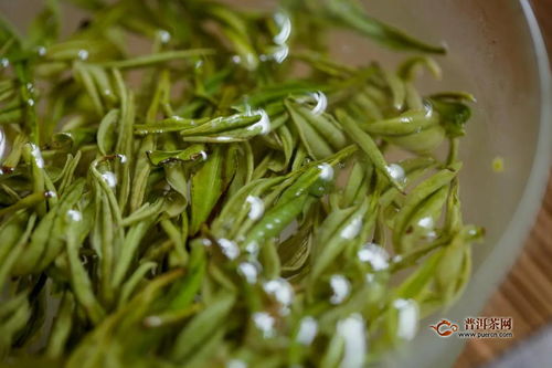 品2020年明前安吉白茶,鲜爽清甜的绿茶界小鲜肉