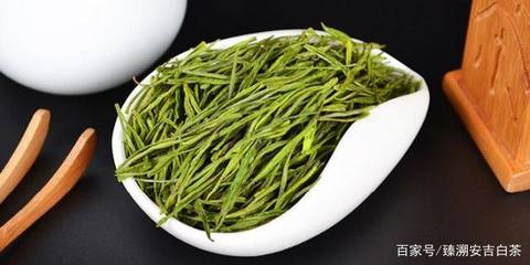 客观分析安吉白茶与福鼎白茶的区别