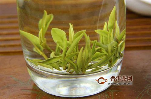 安吉白茶和太平猴魁要怎么泡才好呢