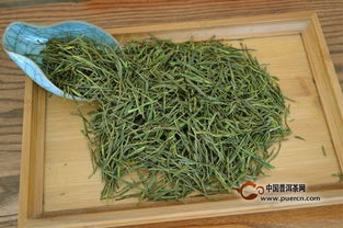 安吉白茶特点