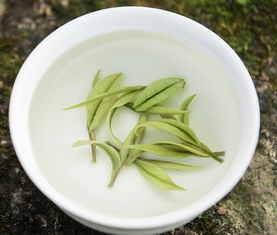 浙江安吉白茶价格表 安吉白茶盒装价格多少