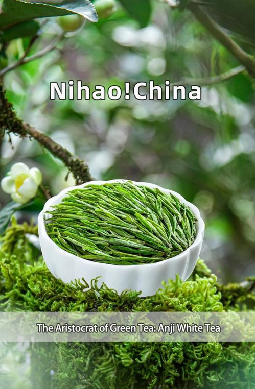 你好 中国 绿茶中的白富美 安吉白茶