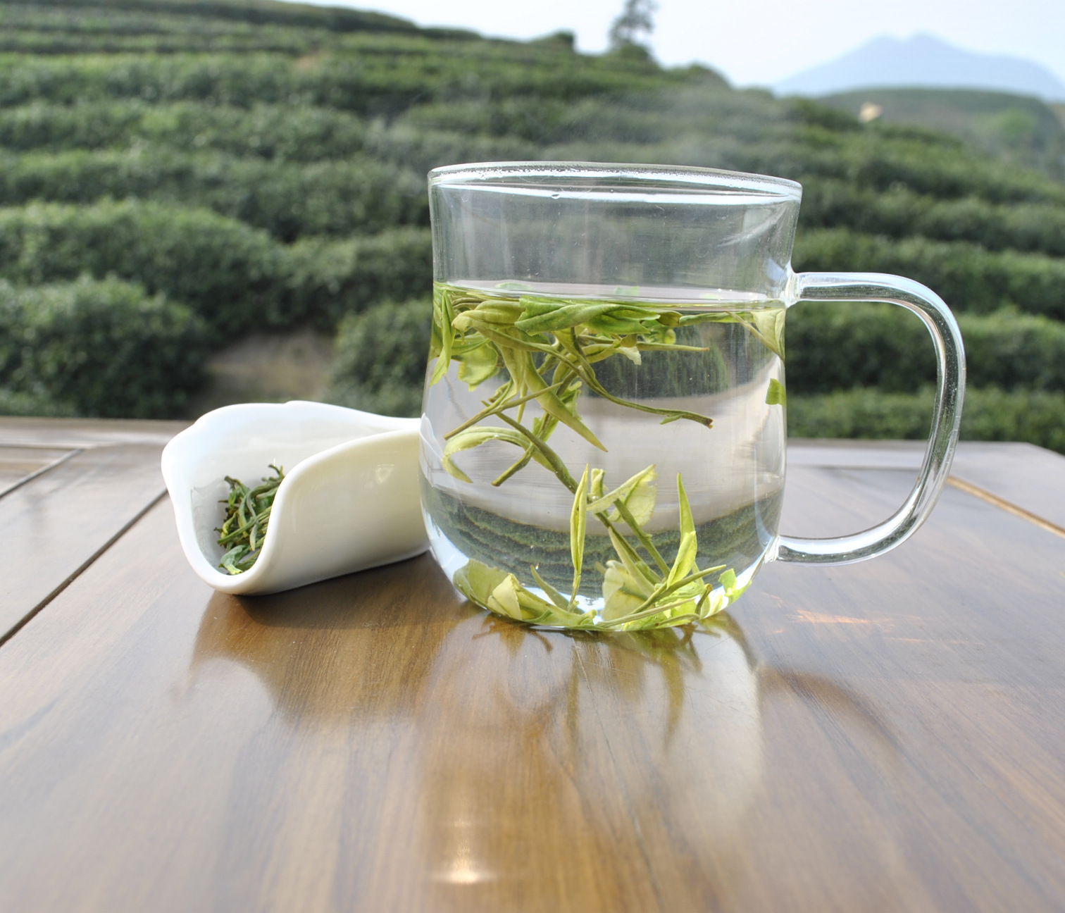 【2013新绿茶叶 正宗安吉白茶 浙江茗茶 一级浓香 茶厂直销】价格,厂家,图片,白茶,杭州之江度假区凡夫茶行-