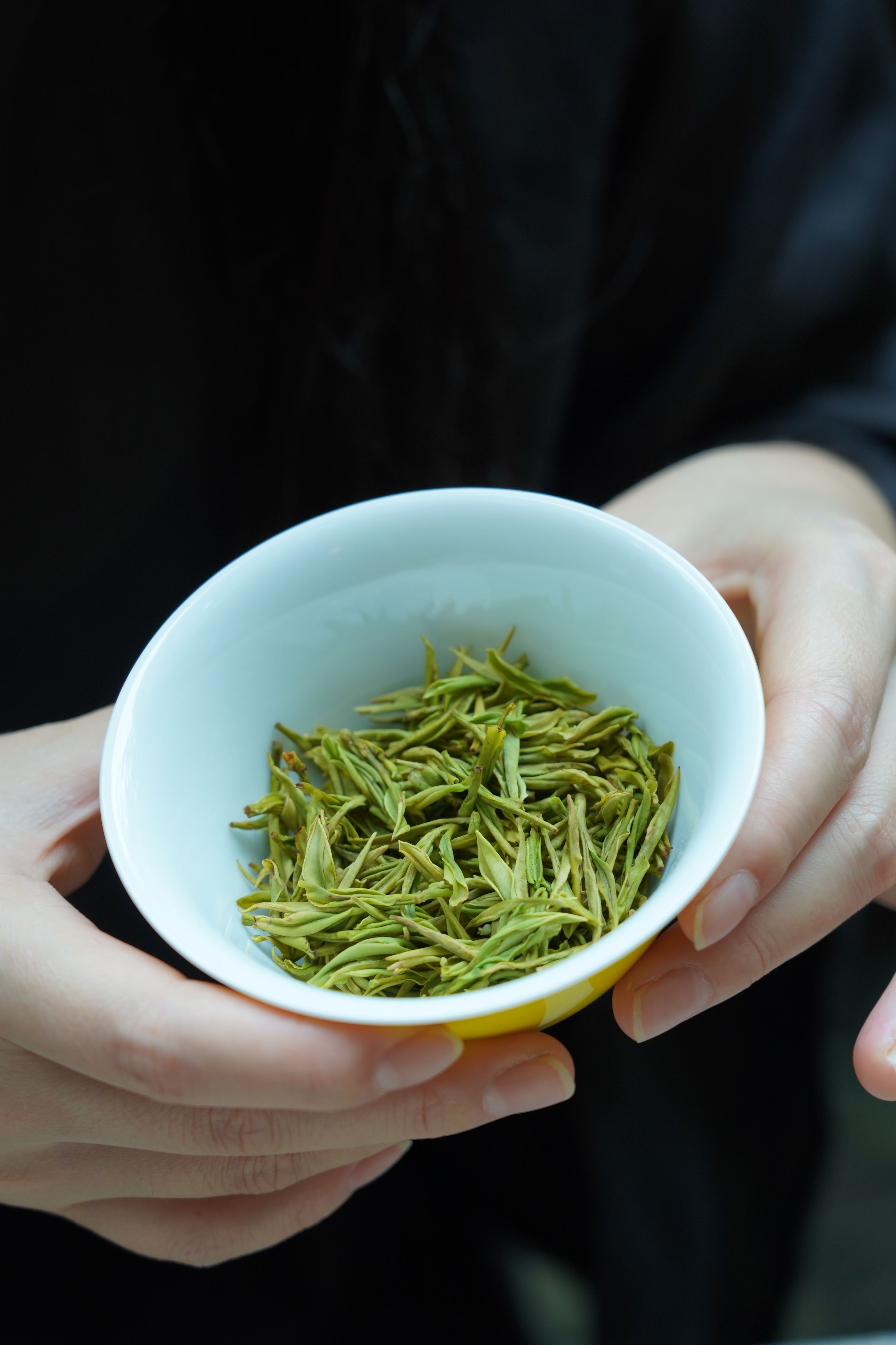 头春绿茶|安吉白茶