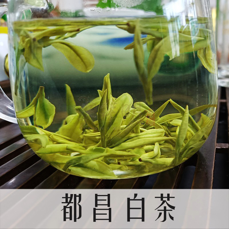 都昌白茶 2022江西华明特产安吉白茶品种甘甜 苏山白茶叶庐山云雾