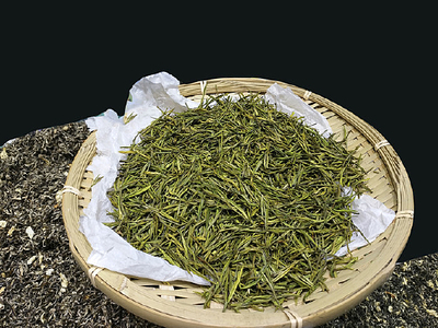 安吉白茶