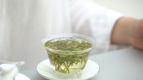 和静泡茶心法 安吉白茶