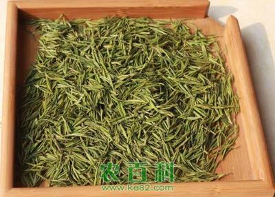 安吉白茶的产地在哪里?