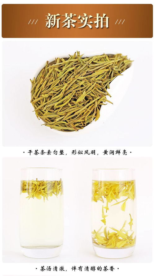 2019新茶明前特级黄金芽茶叶安吉白茶雨前50g250g罐装绿茶多规格