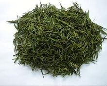 安吉白茶 - 百科