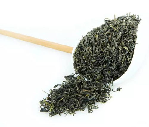 wttc比赛用茶大猜想 绿茶 安吉白茶 炒青绿茶