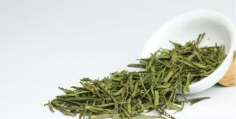 老喝茶人都会搞错的茶叶知识,安吉白茶是什么?别被人取笑