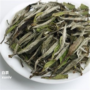 安吉白茶什么时候发现的
