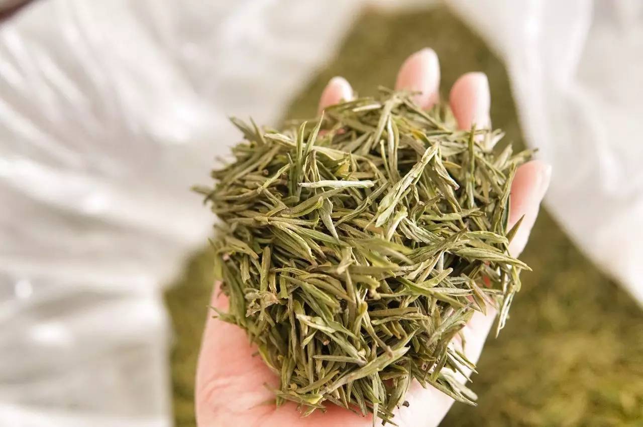 美食度假酒店指南 | 如何取舍安吉的竹和白茶?