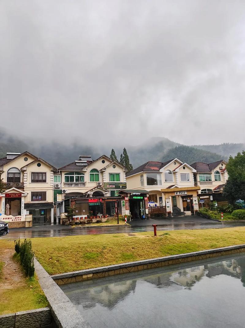 安吉余村 风景如画，白茶的故乡