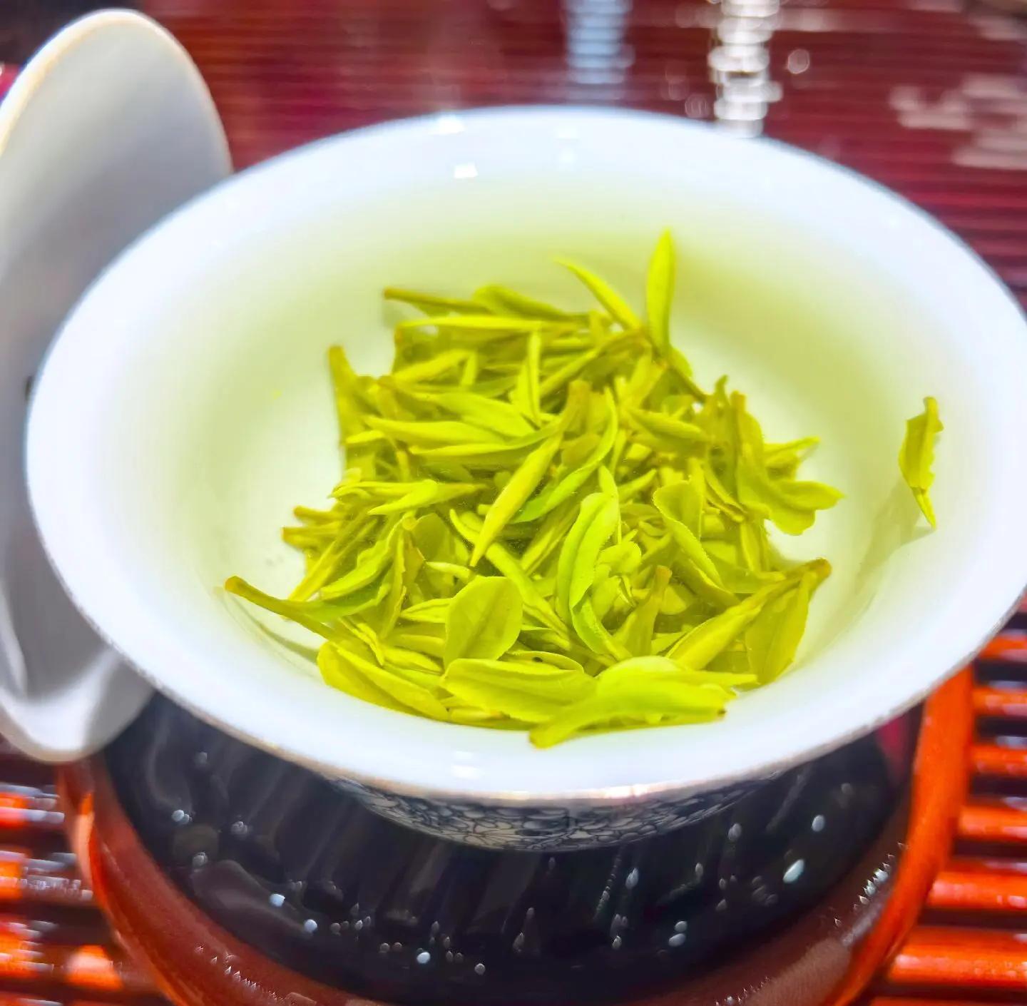 安吉白茶 春日的珍贵佳茗