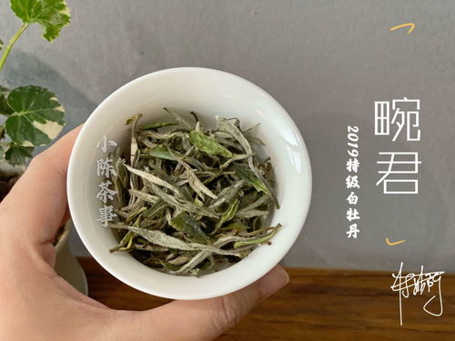 村姑陈亲测有效 5大藏茶要领，教你轻松存出优质好白茶——以安吉白茶为例