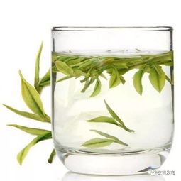 陈乔恩携手安吉白茶，演绎安吉山水间的茶香传奇