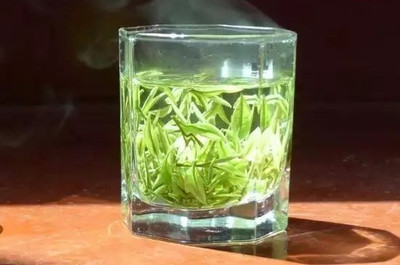 安吉白茶与福鼎白茶 同属白茶类却大相径庭