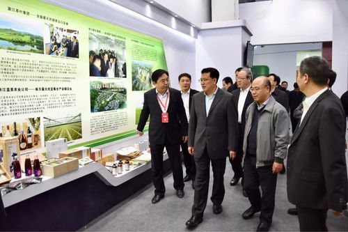 浙茶集团亮相省农博会供销馆，多元展示全产业链品牌风采
