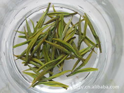 安吉白茶 百竹茶业的匠心传承与独特魅力