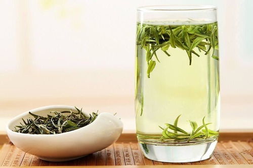 安吉白茶 白茶中的翠玉珍品